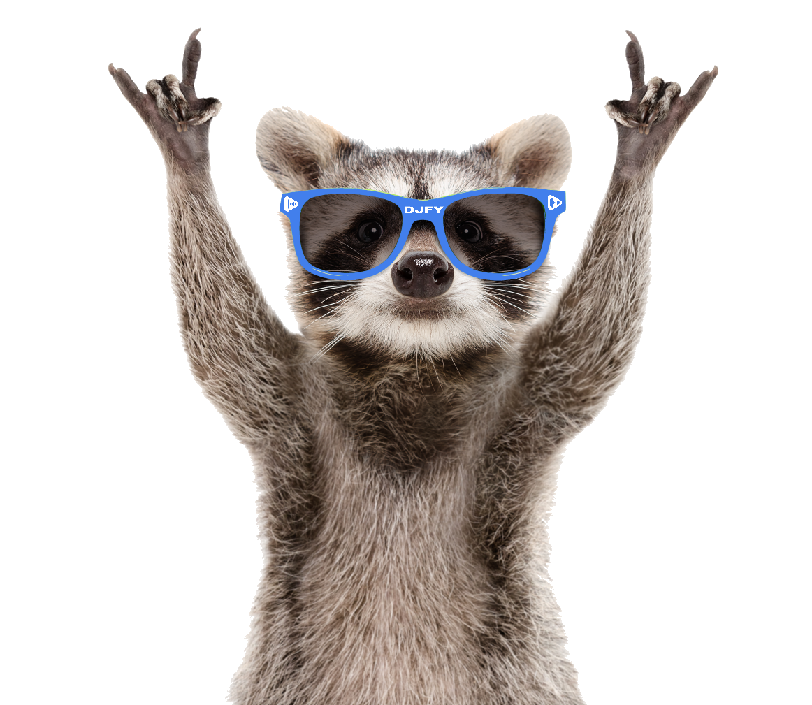 party_racoon